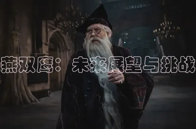燕双鹰：未来展望与挑战